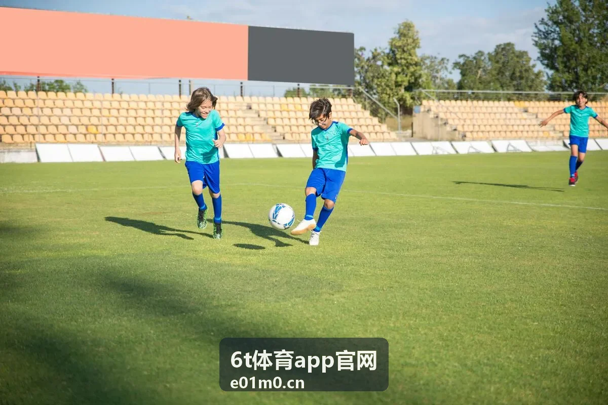 6t体育app赛程筛选工具示例